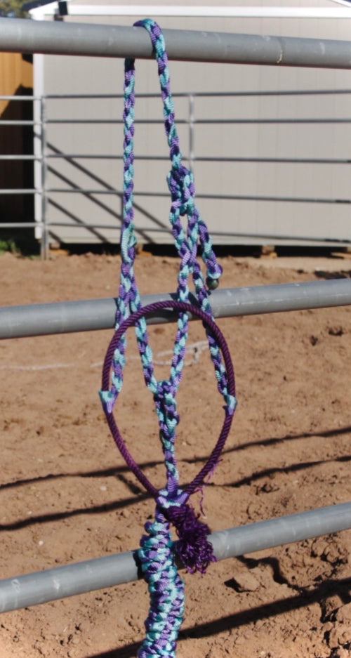 Custom Lariat halters