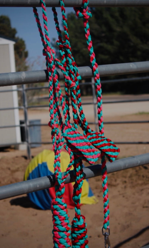 Custom mule tape halters