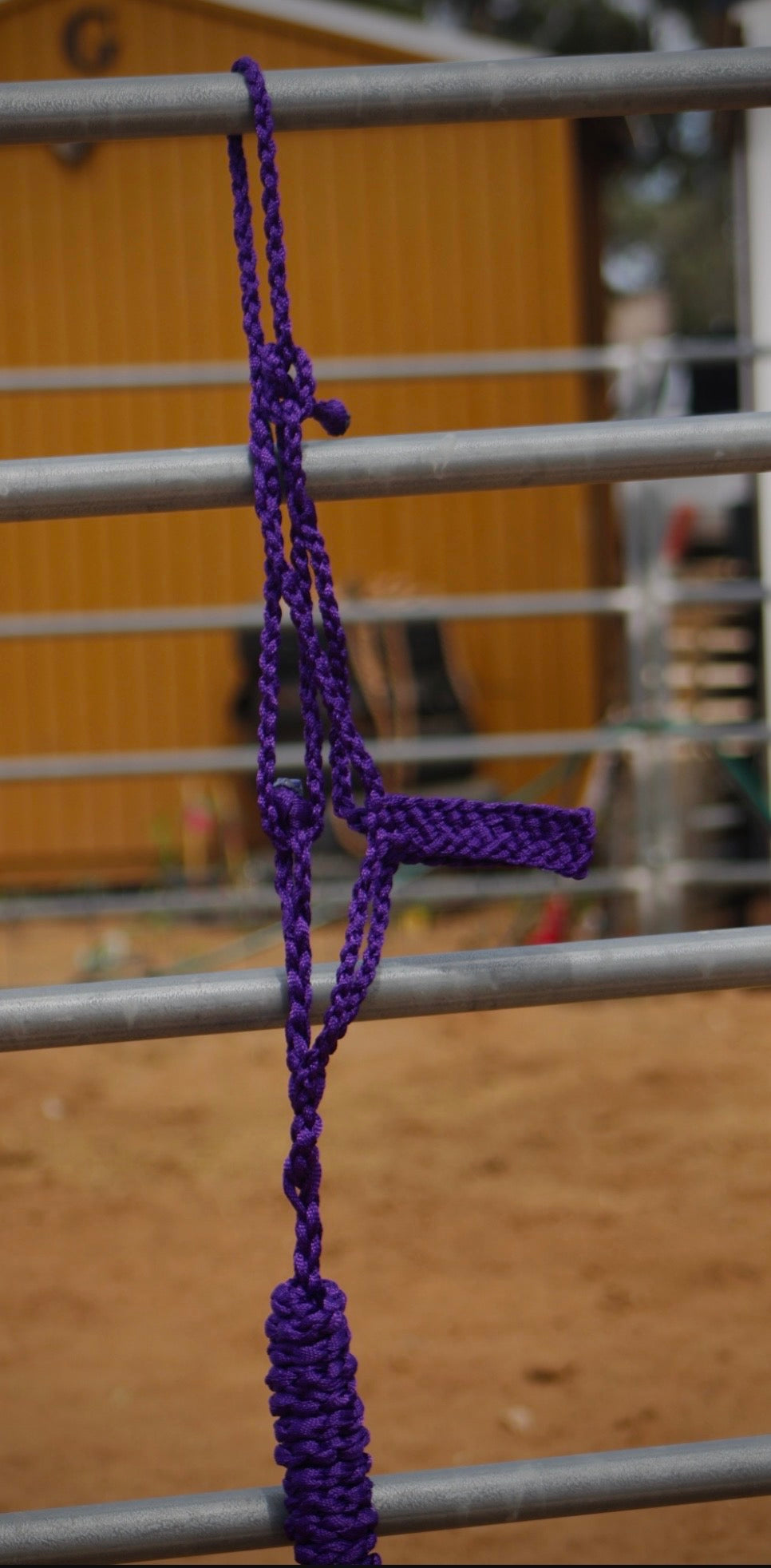 Purple muletape halter