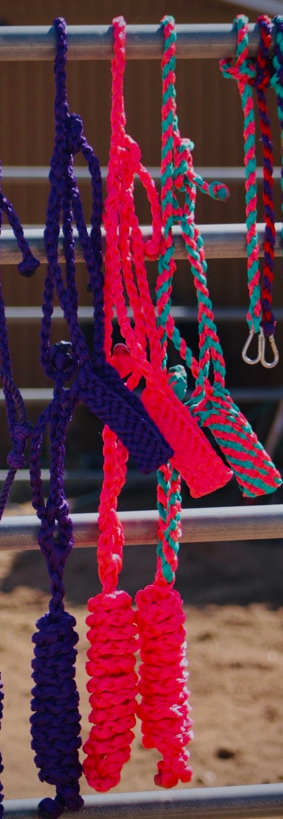 Purple muletape halter